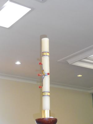 P4290060