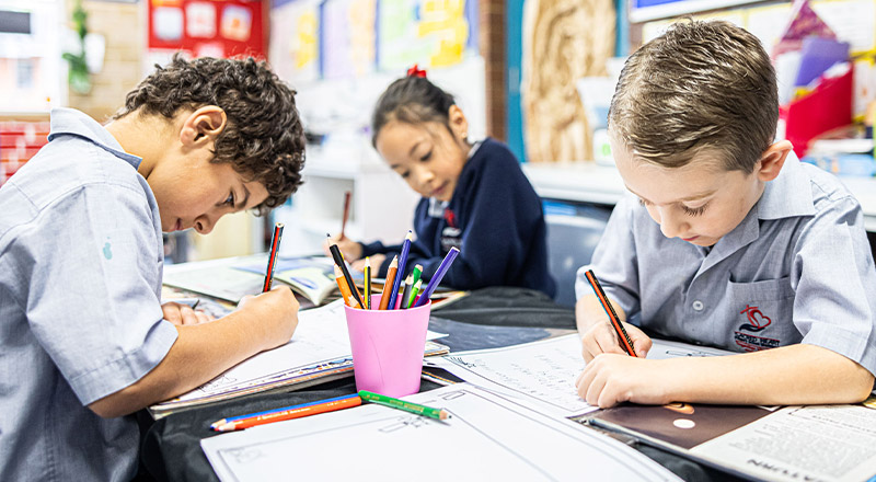 Sacred Heart Catholic Primary School Westmead students learning together