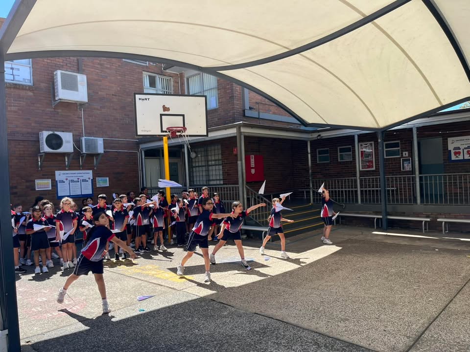 676228104294338_1338114738105668-1