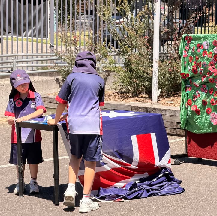 676228104294338_1342938417623300-1