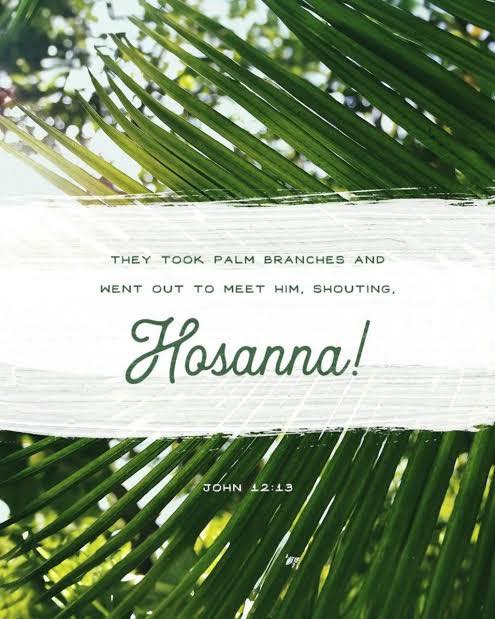 676228104294338_1443872084196599-1